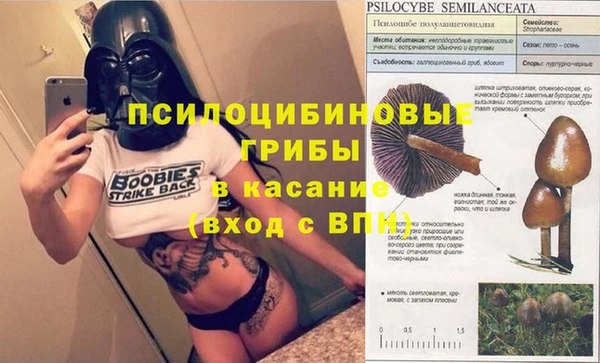 герыч Алексин