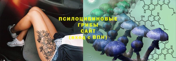 стафф Алексеевка