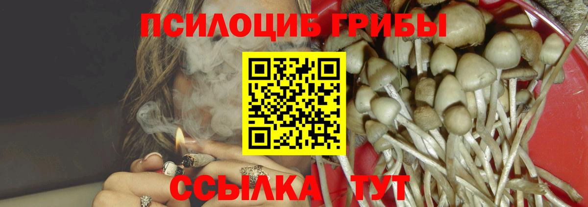 Псилоцибиновые грибы Magic Shrooms Апрелевка